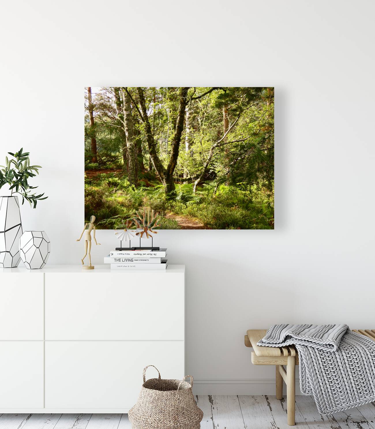 Sunny Nature Path in the Scottish Highlands   Reproduction