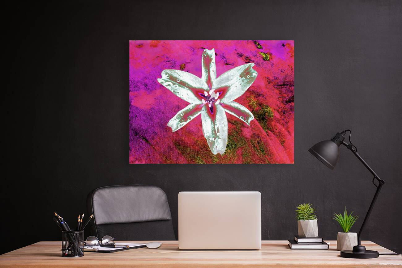 Abstract Contrasting Stunning Lily Flower Reproduction