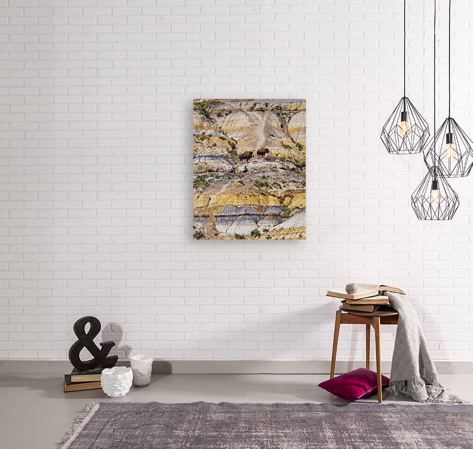 Badlands Bison Reproduction