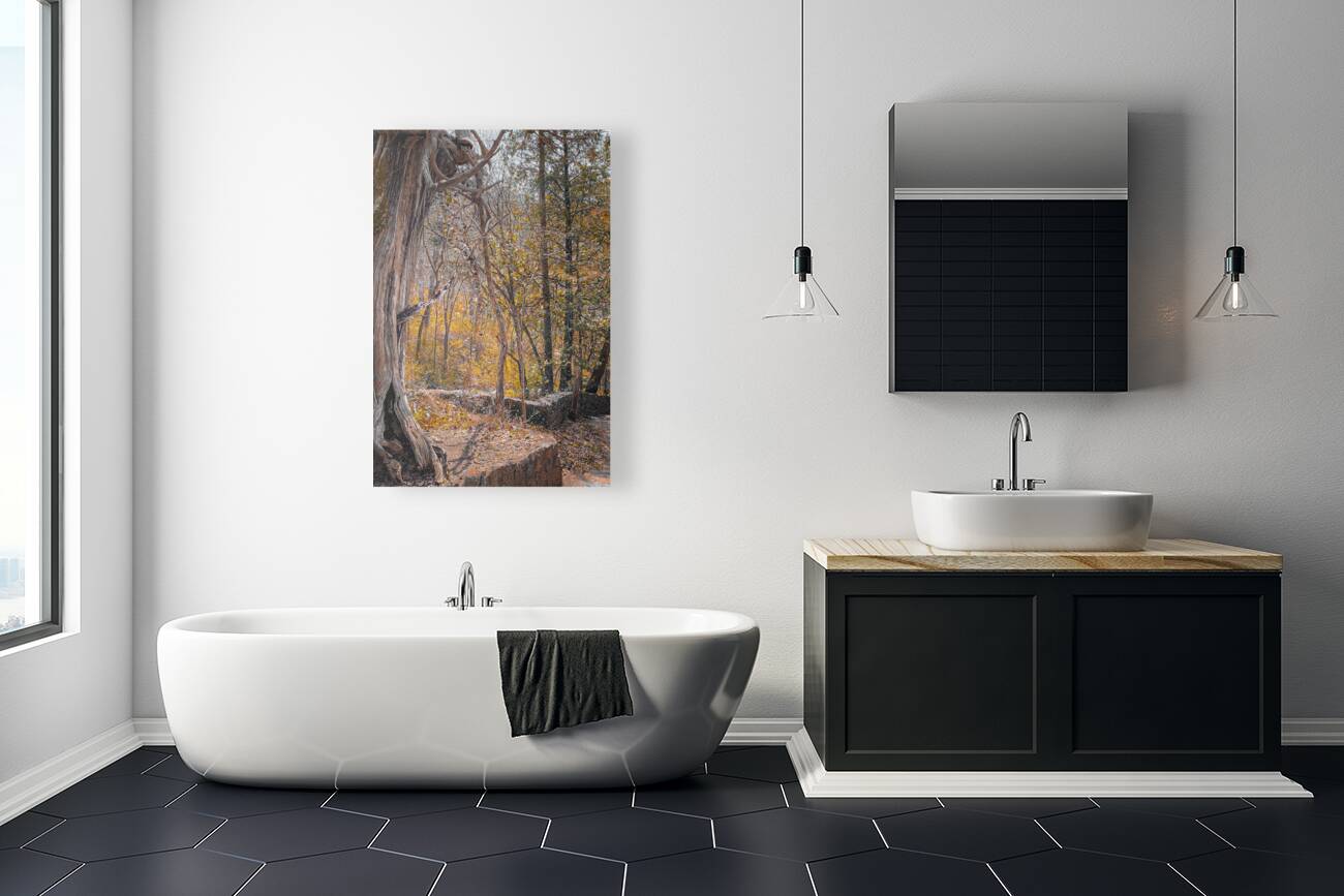 Autum Forest Reproduction