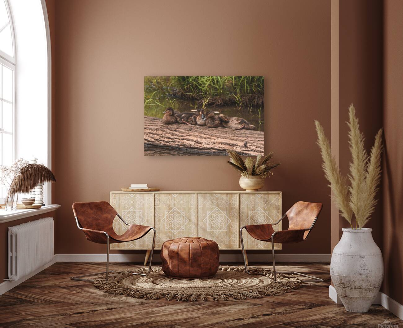 Juvenile Ducks in a Row Reproduction