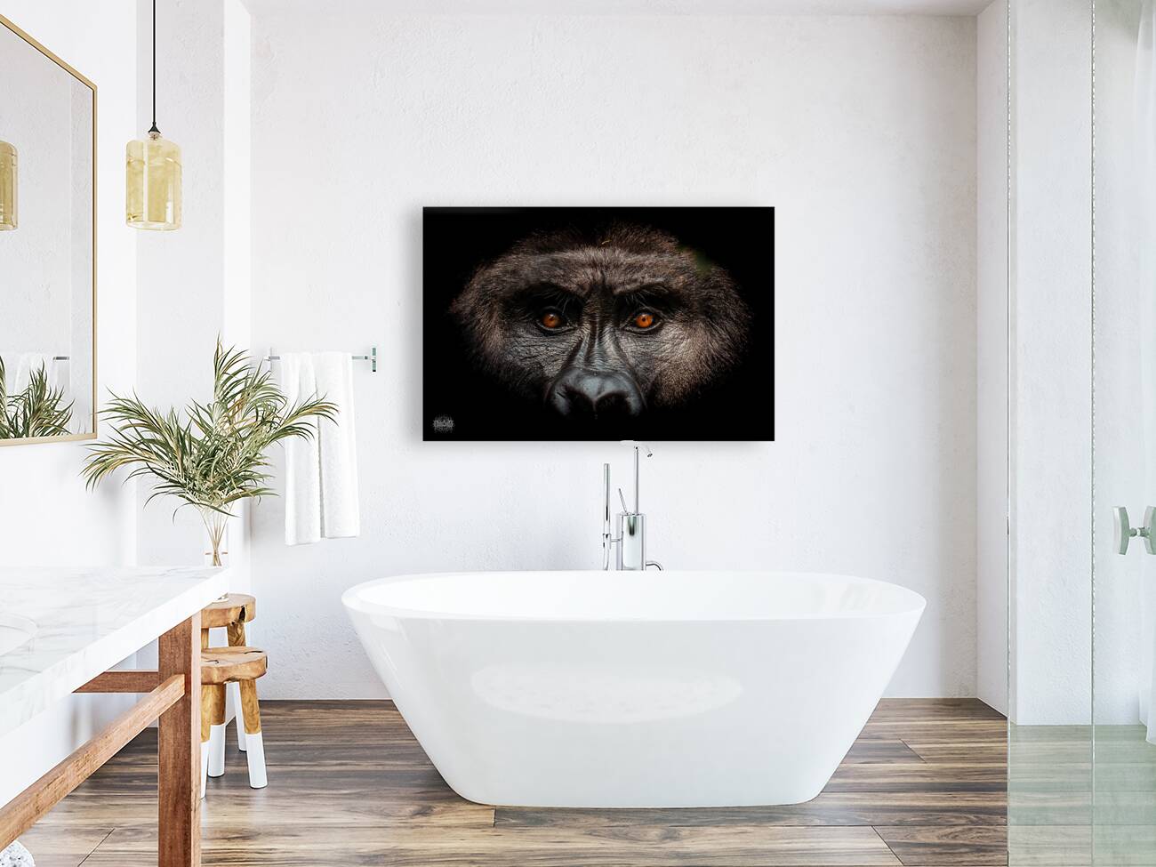 Gaze of Bahati Reproduction