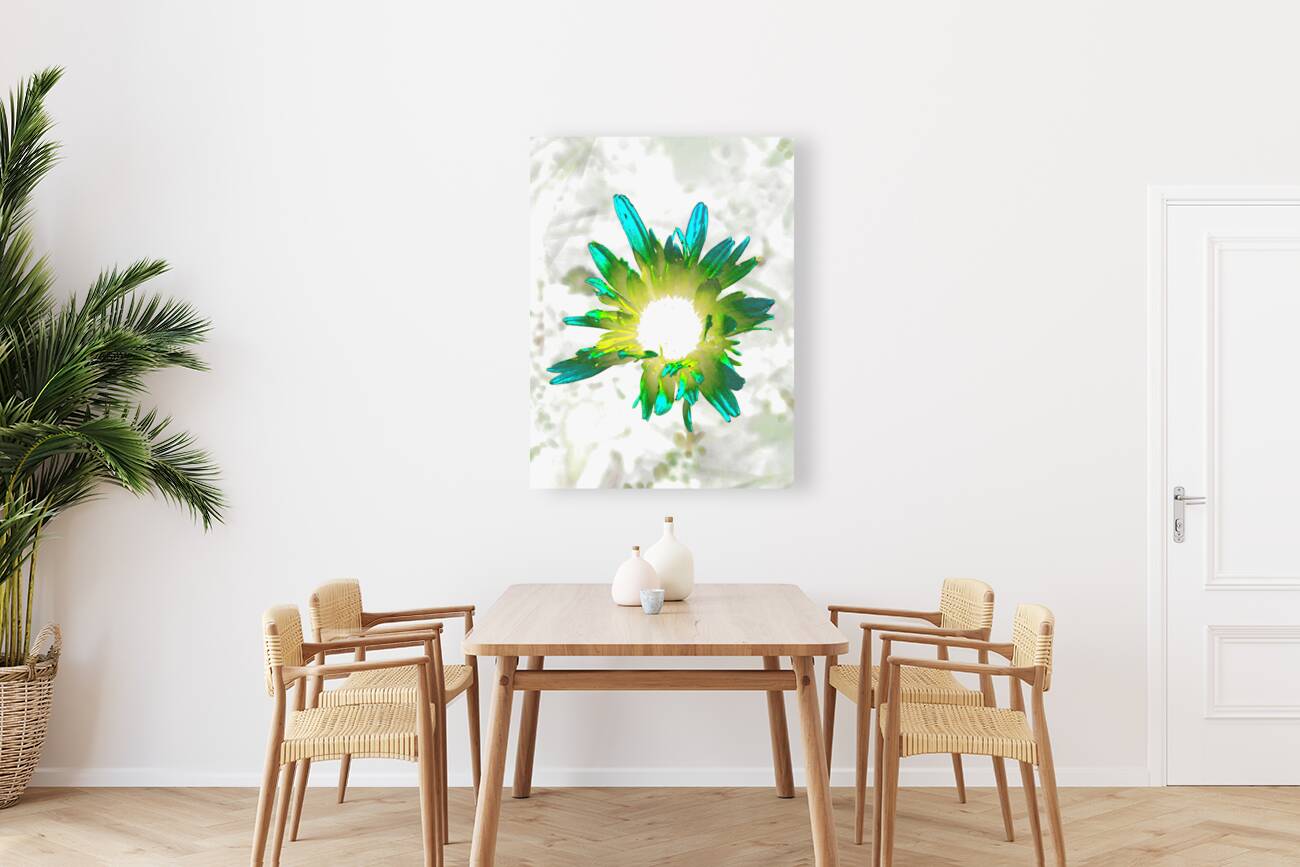 Abstract Daisy Flowers Light Reproduction