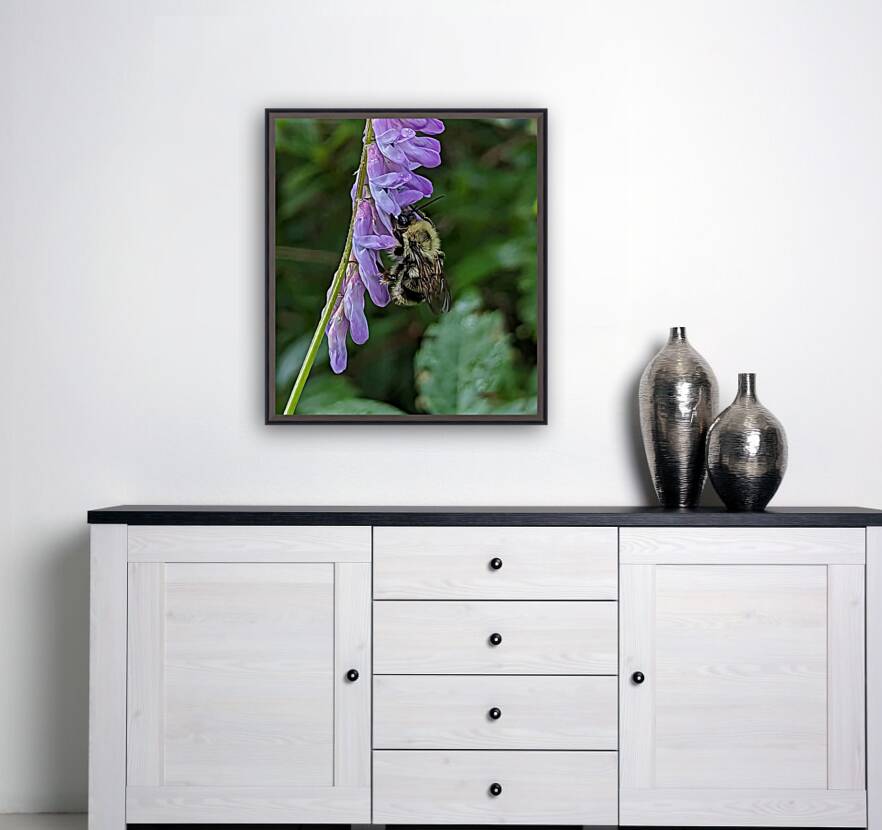 Nectar Dance - Maine Botanical Wall Art Reproduction