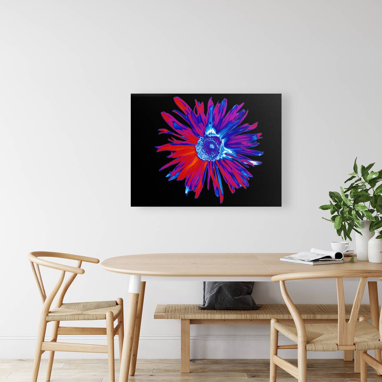 Abstract Brightly Coloured Daisy Flower Reproduction