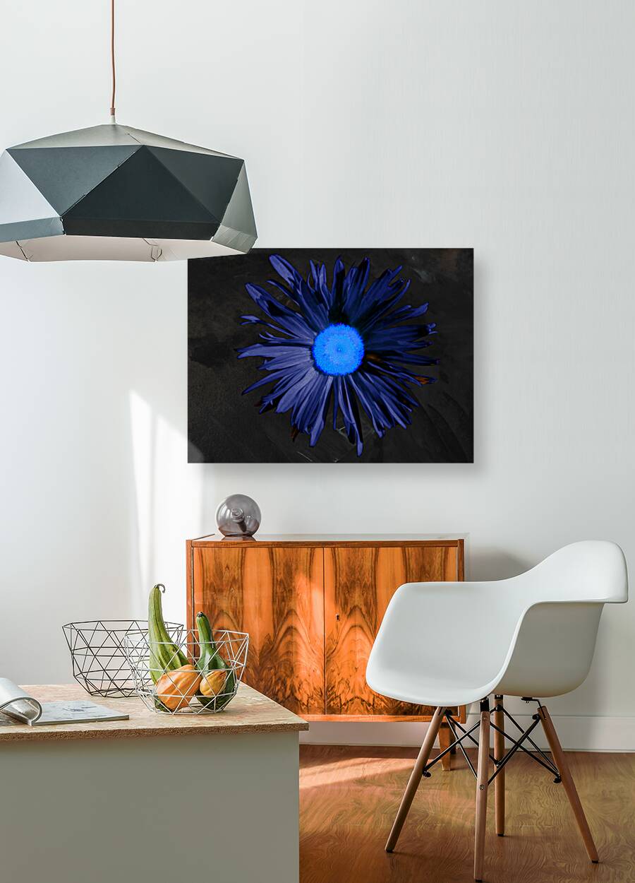  Abstract Blue Centred Daisy on a Dark Background Reproduction