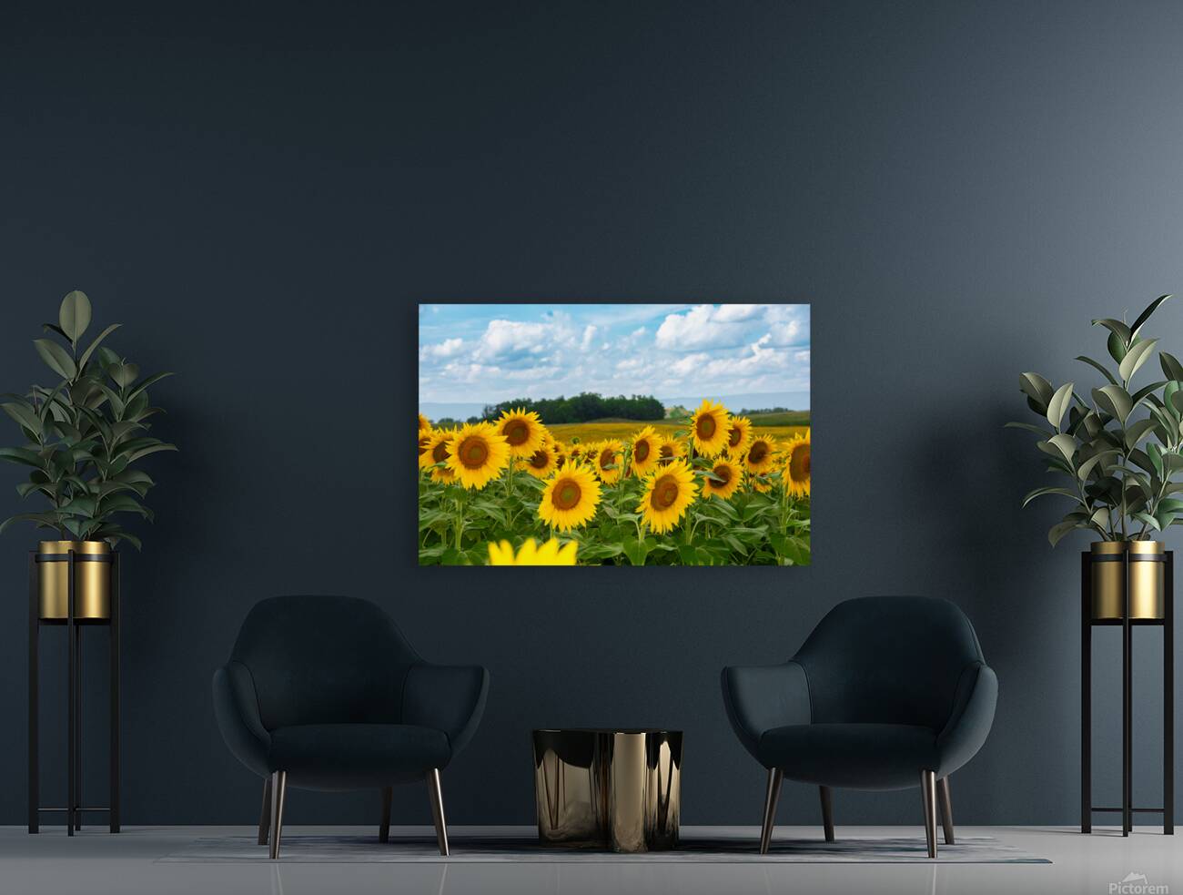 Amazing Sunflowers Reproduction