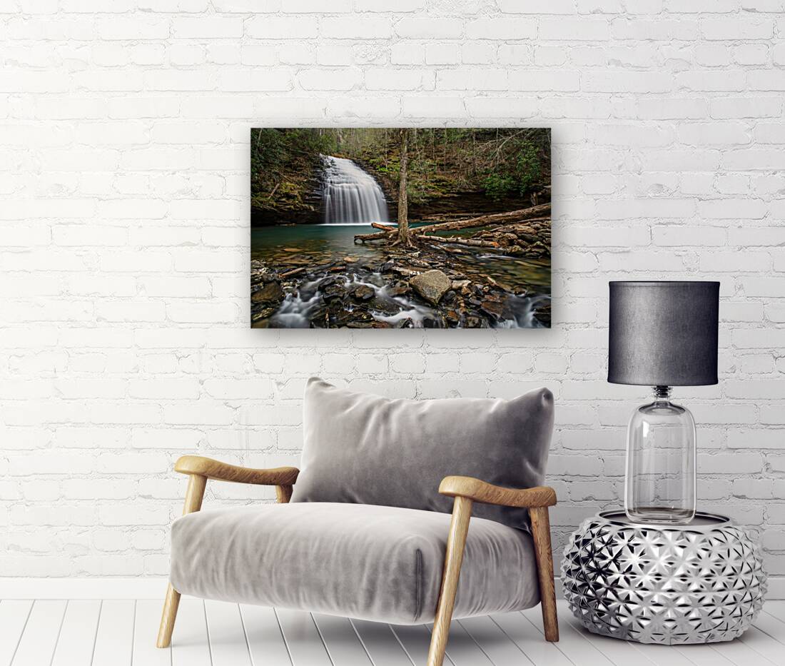 Stinging Fork Falls Reproduction