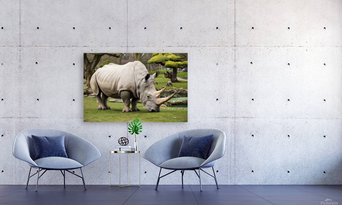 large rhino in the park 3 Reproduction