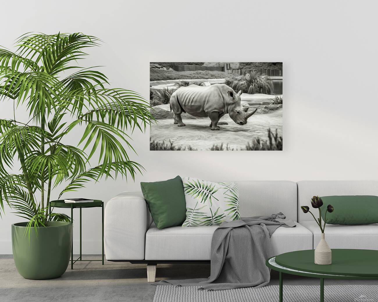 A rhinoceros in what appears to be a zoo or wildl Reproduction