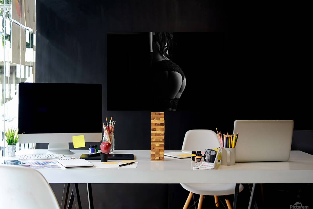 Silhouette of erotic woman posing in black lingerie Reproduction