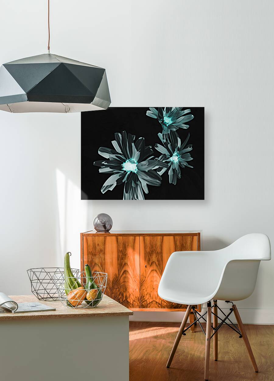 Abstract Glowing Daises on a Dark Background Reproduction