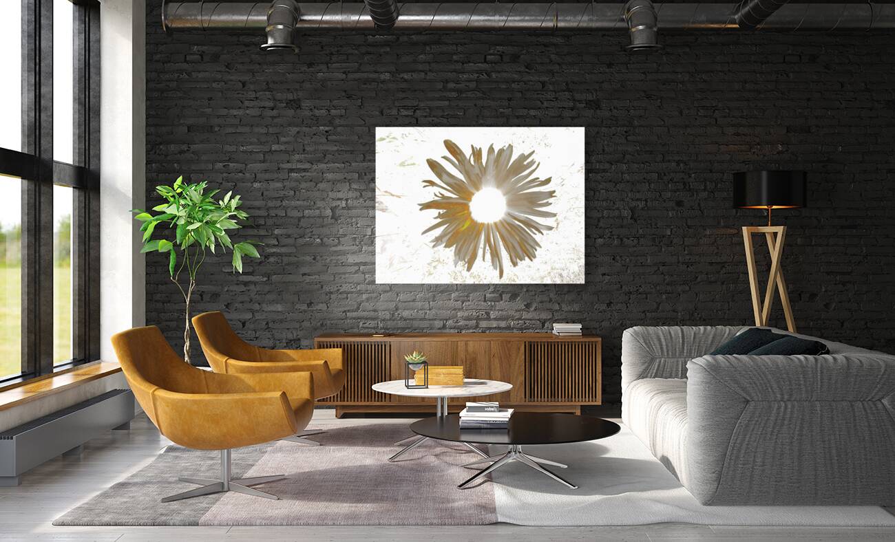 Abstract Daisy Light Star Reproduction