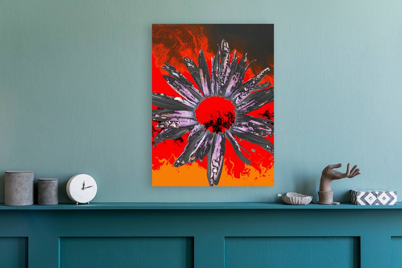 Abstract Fiery Daisy Flower Reproduction