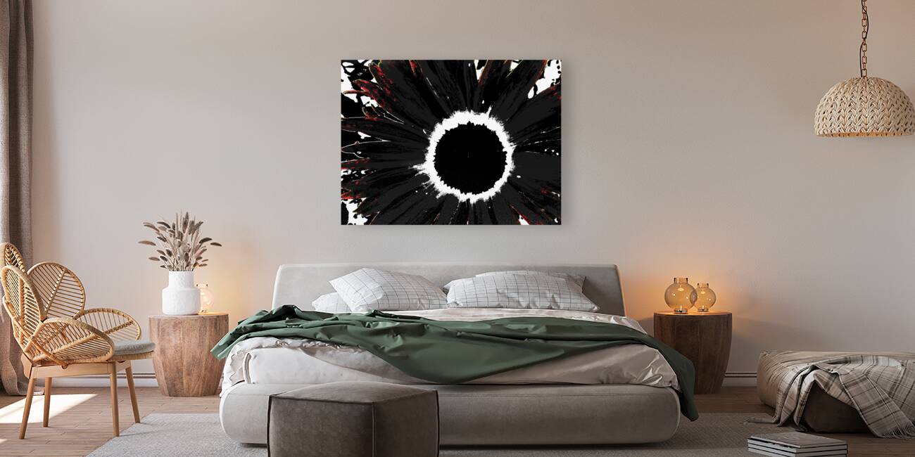 Abstract Black and White Daisy Reproduction