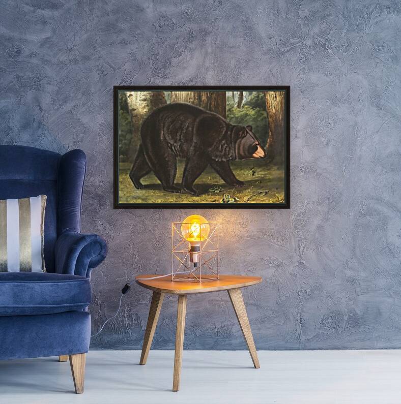 American Black Bear Reproduction