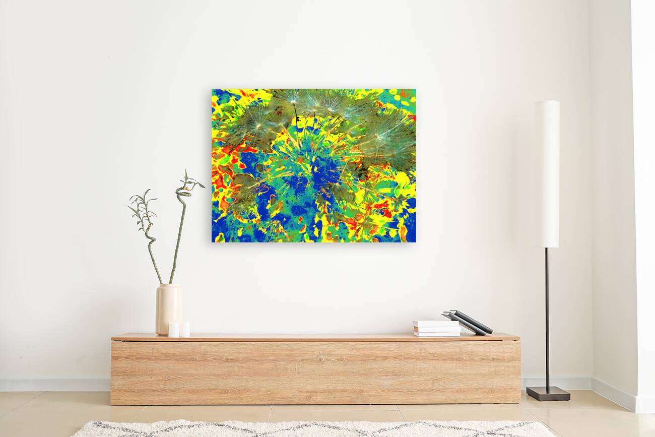 Abstract Colourful Dandelion Seeds  Reproduction