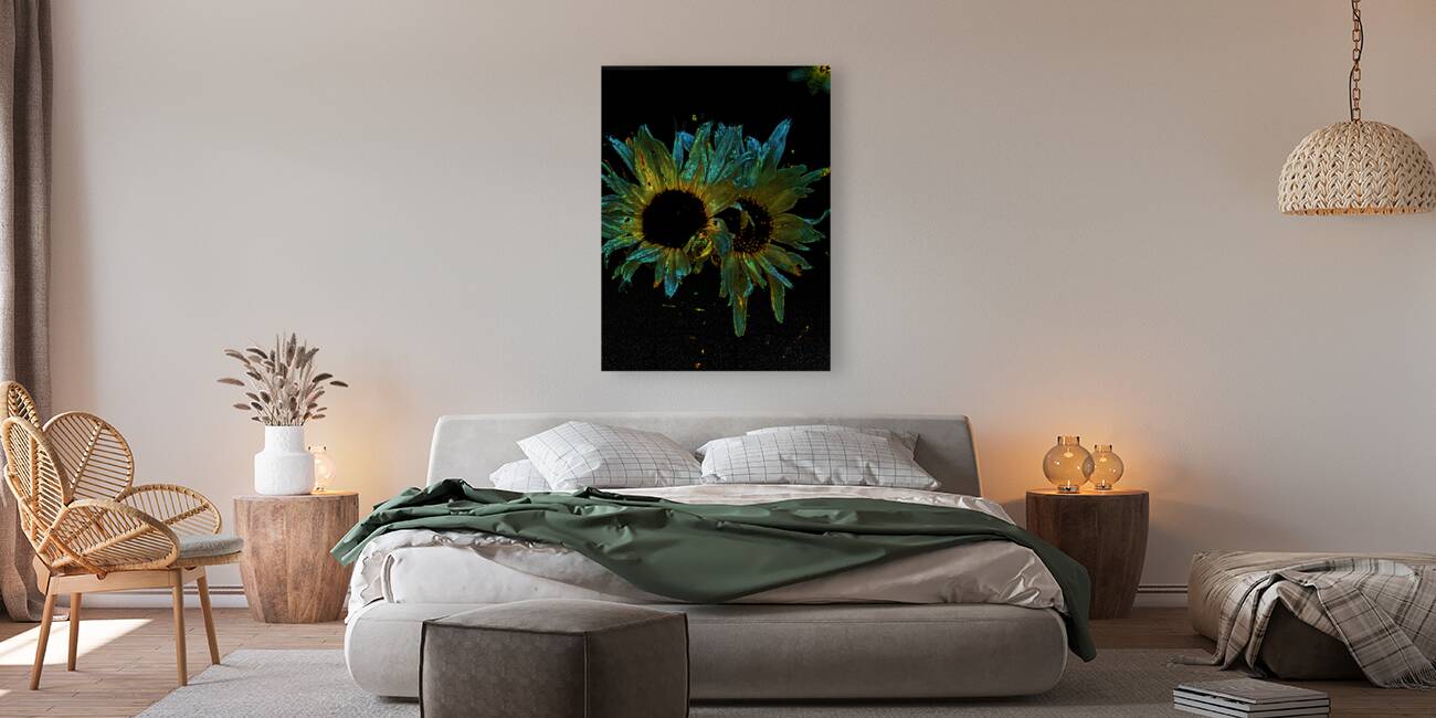 Abstract Daisy Duo on a Dark Background Reproduction