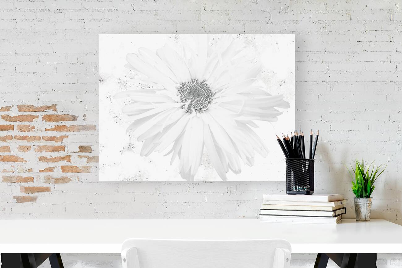 Abstract White Minimalist Daisy Reproduction