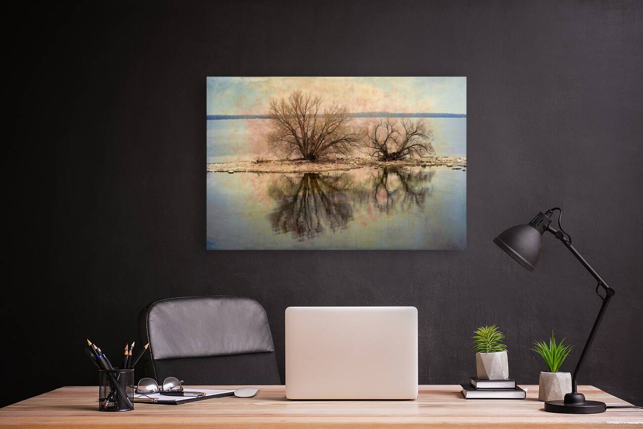 A Vision in Lake Ontario Reproduction