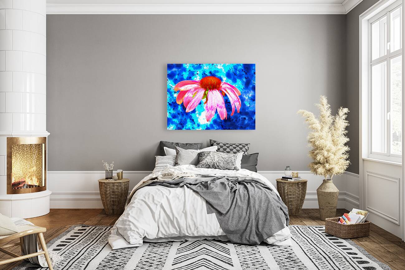 Abstract Pink Cone Flower on a Blue Abstract Background Reproduction