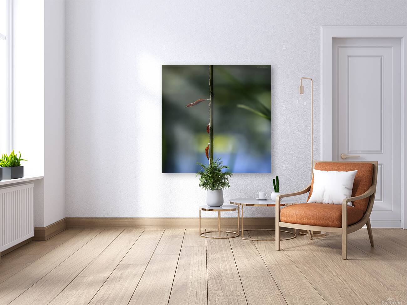 11524 Ignotus 4 Reproduction