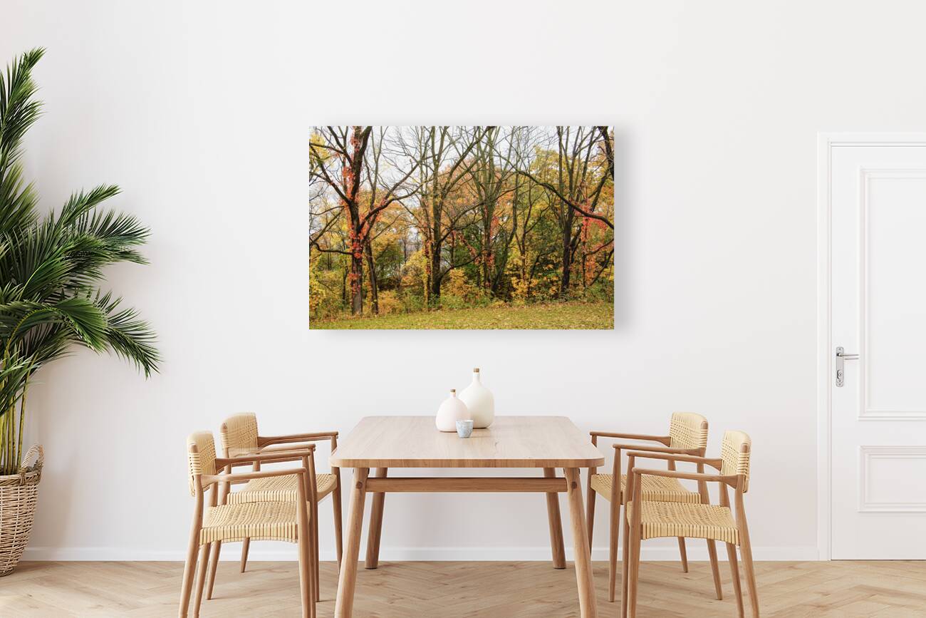 Along the Niagara River Reproduction