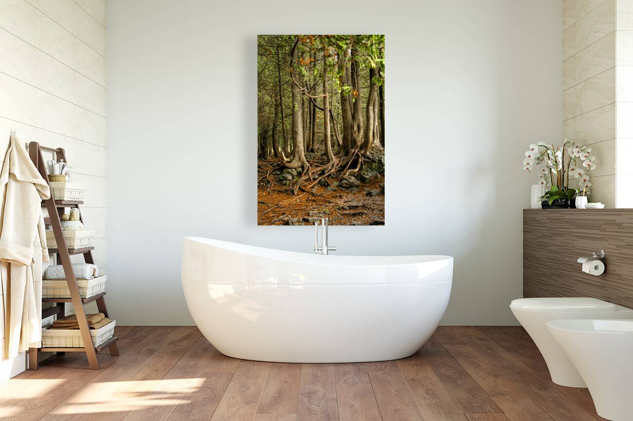 Beaver Valley Trippers Reproduction