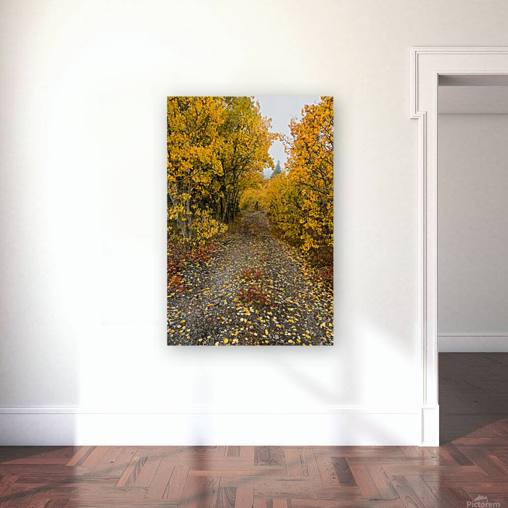 Inviting Autumn Hiking Trail Reproduction