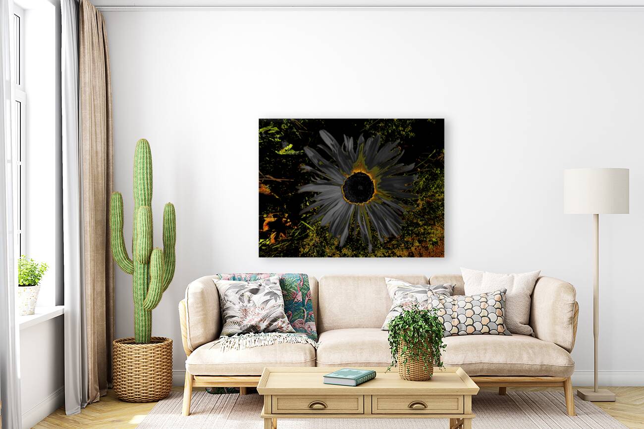 Abstract Dark Daisy Yellow Centre Reproduction