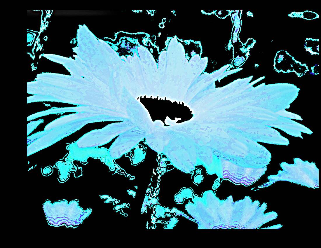 Abstract Daisy in Blue Reproduction