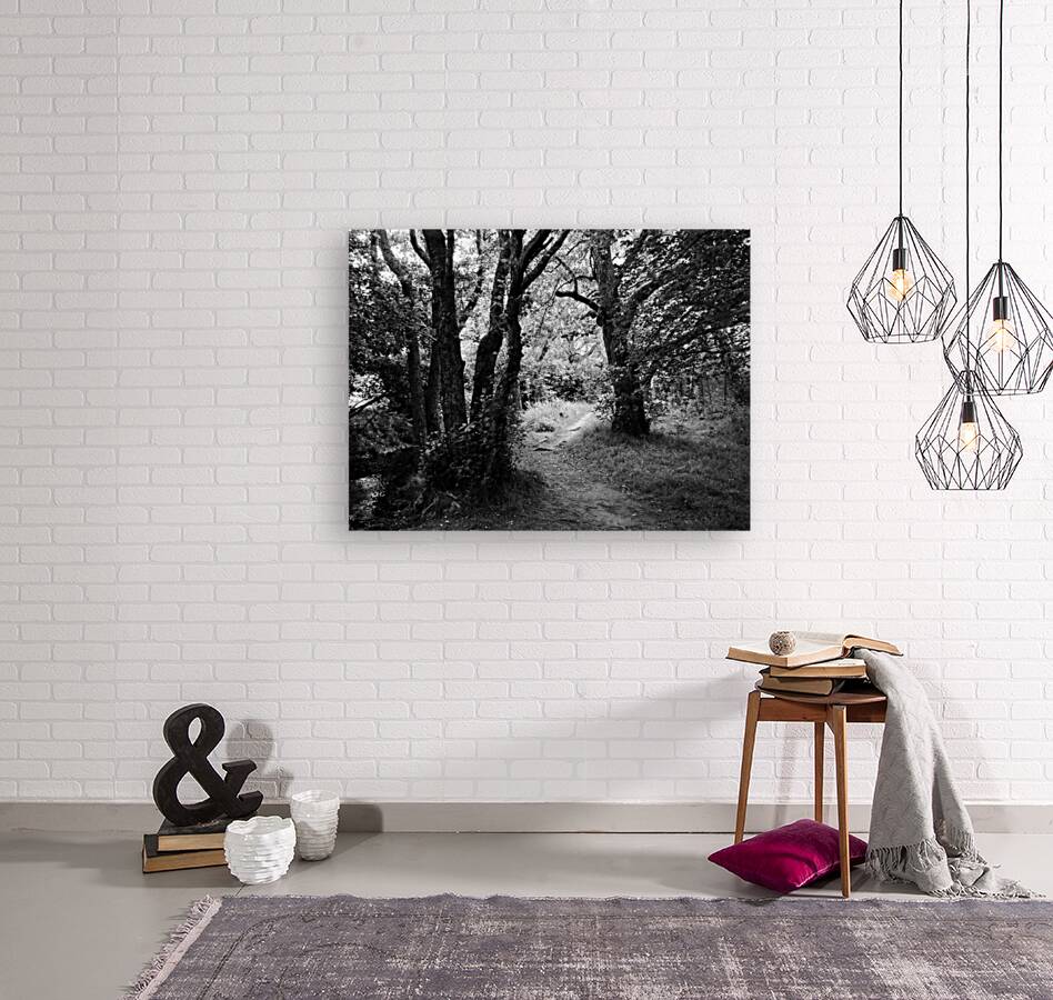 Dark Forest of the Scottish Highlands  Reproduction