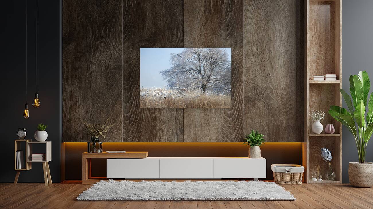 The 2013 Ice Storm in Toronto Reproduction