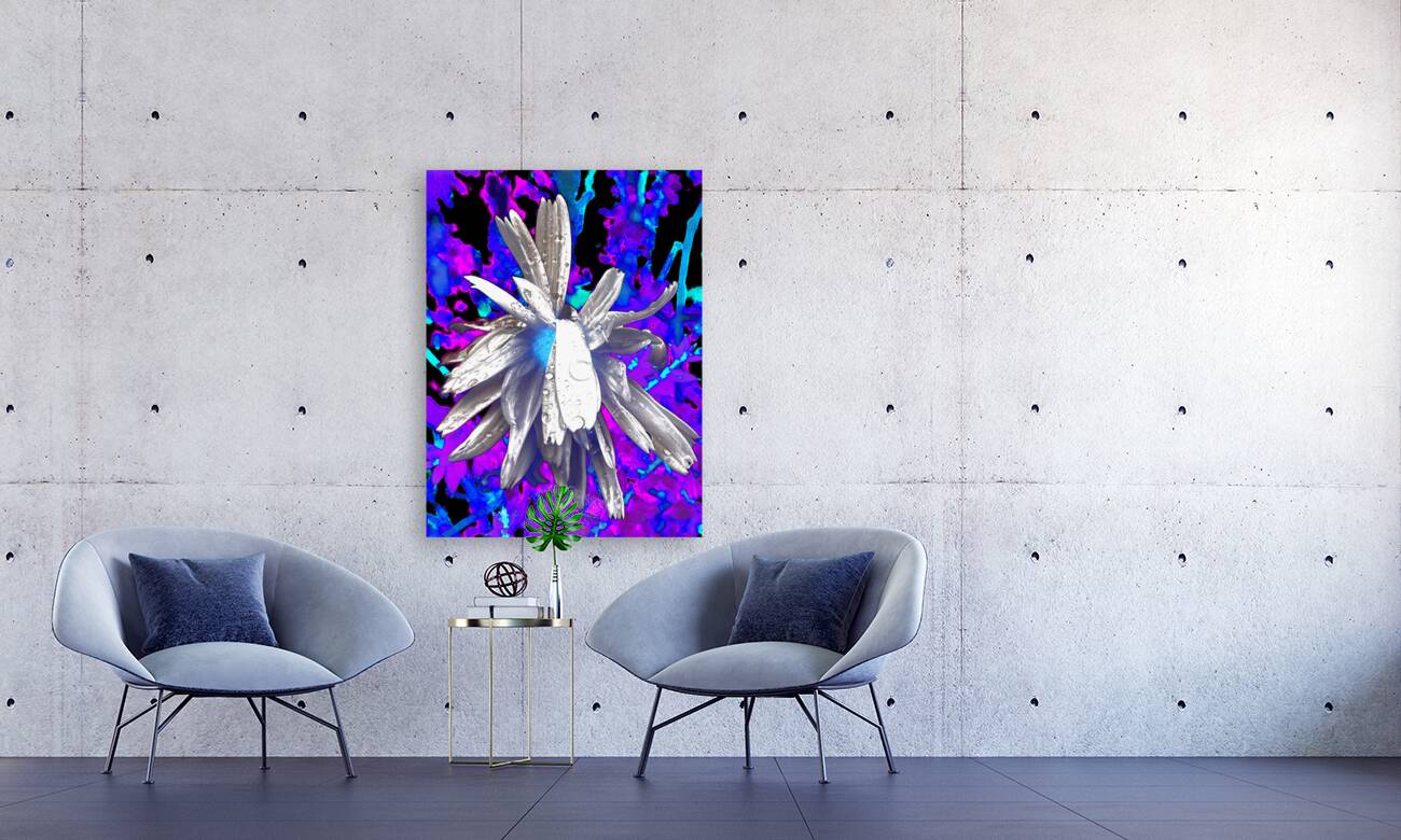Abstract Monochrome Daisy Flower on a Psychedelic Background Reproduction