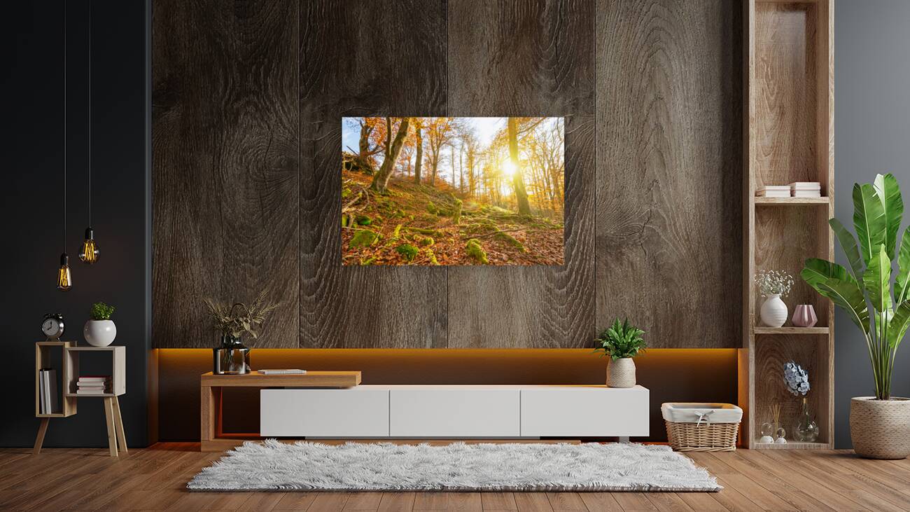 Sun rays in the autumnal forest Reproduction