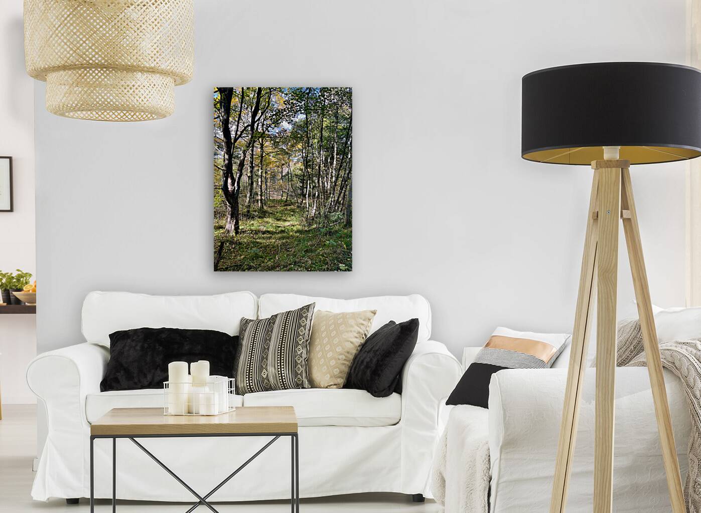 Autumn Arrives in the Forest of the Scottish Highlands Reproduction