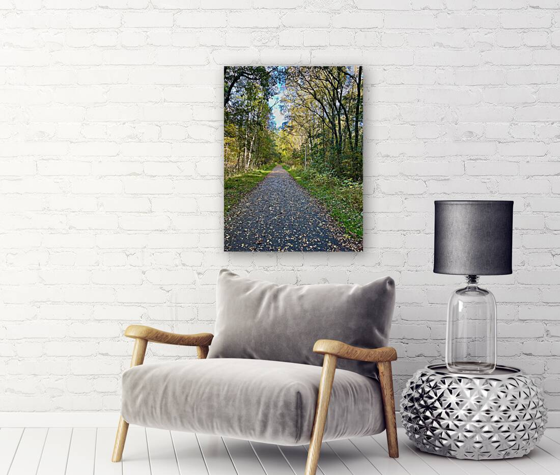 Scottish Highlands Autumn Walk Reproduction