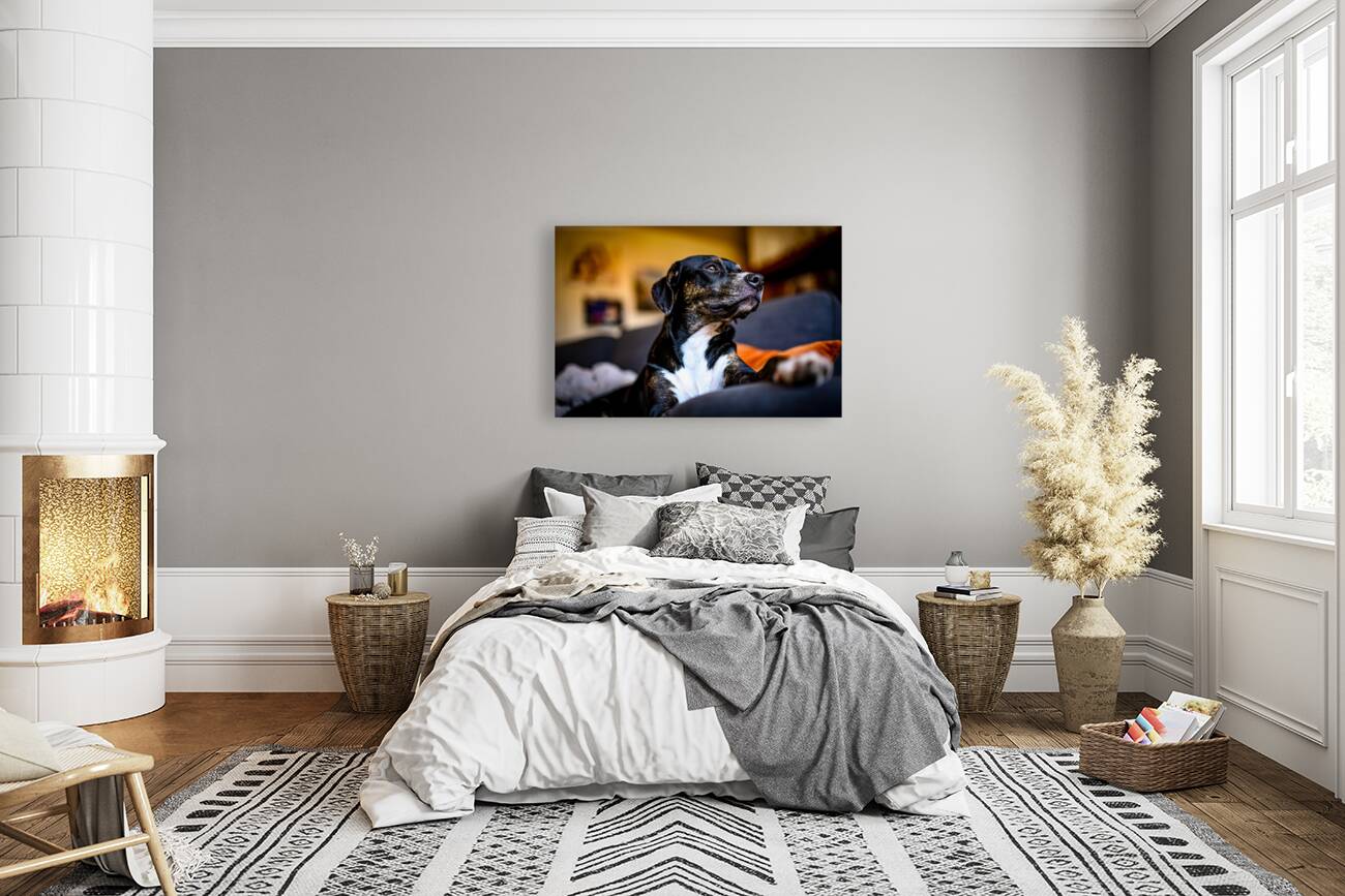 Z72 4022 Reproduction