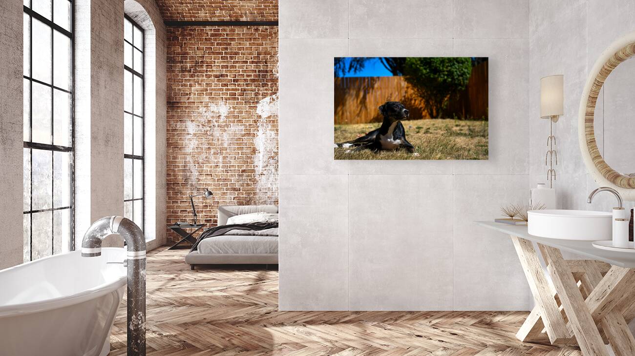 Z72 2981 Reproduction