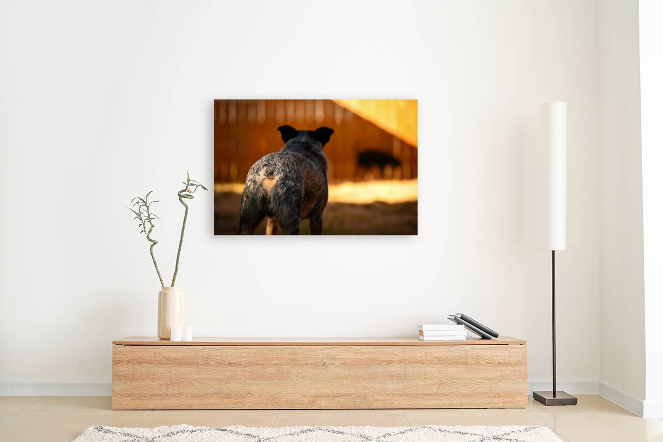 Z72 2939 Reproduction