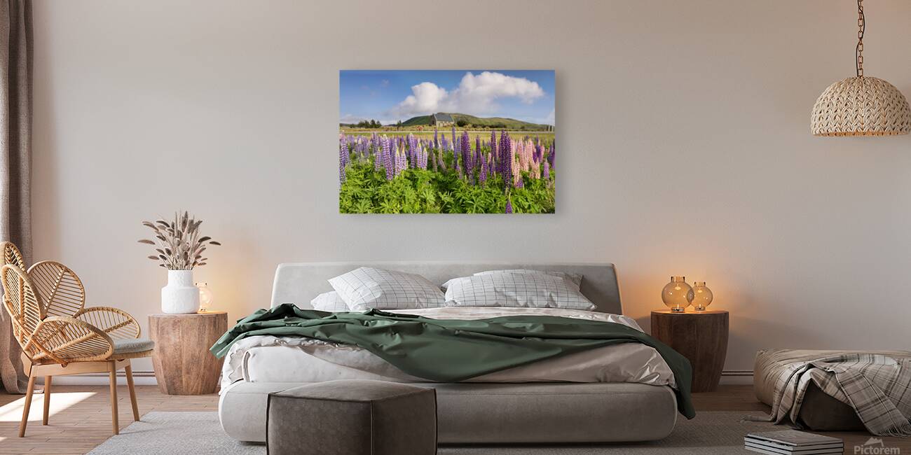 Lupins and Church of the Good Shepherd Tekapo New Zealand Reproduction