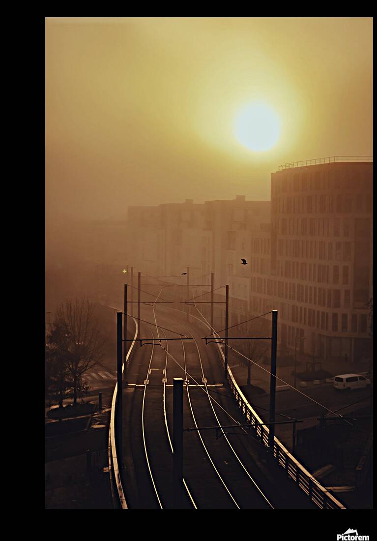 Dance with me Reproduction