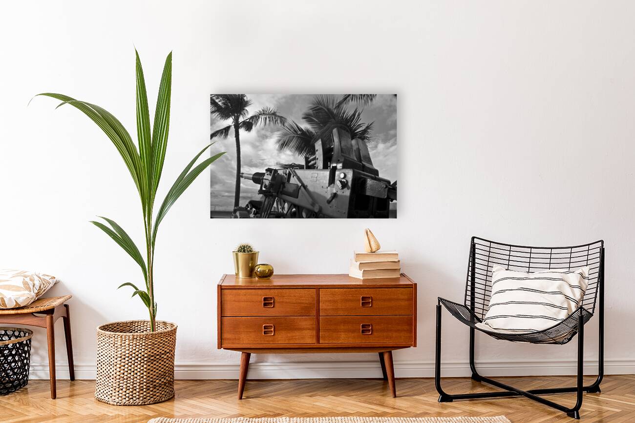 Anti-Aircraft Reproduction