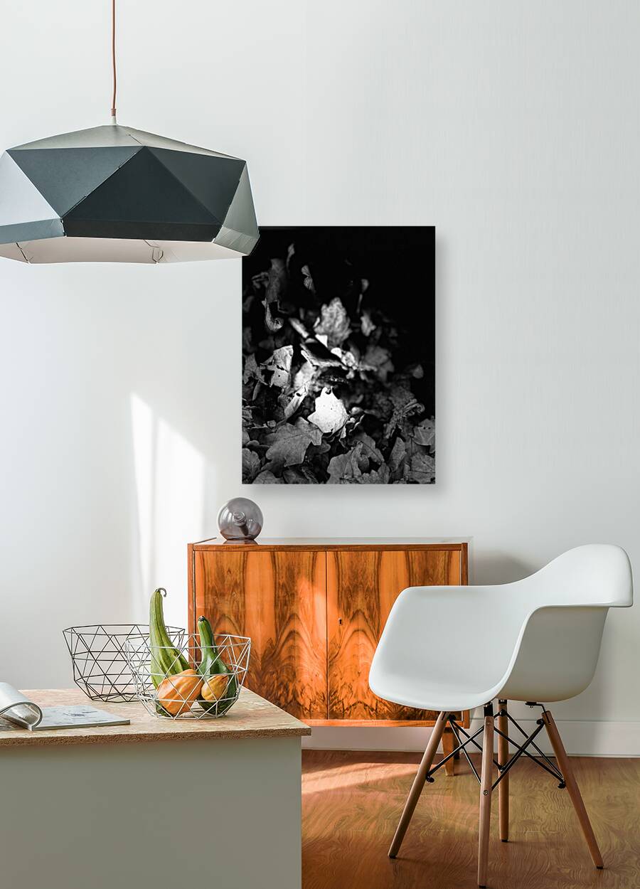 Scenes from the Trail  -Autumnal Leaves in Black and White  Reproduction