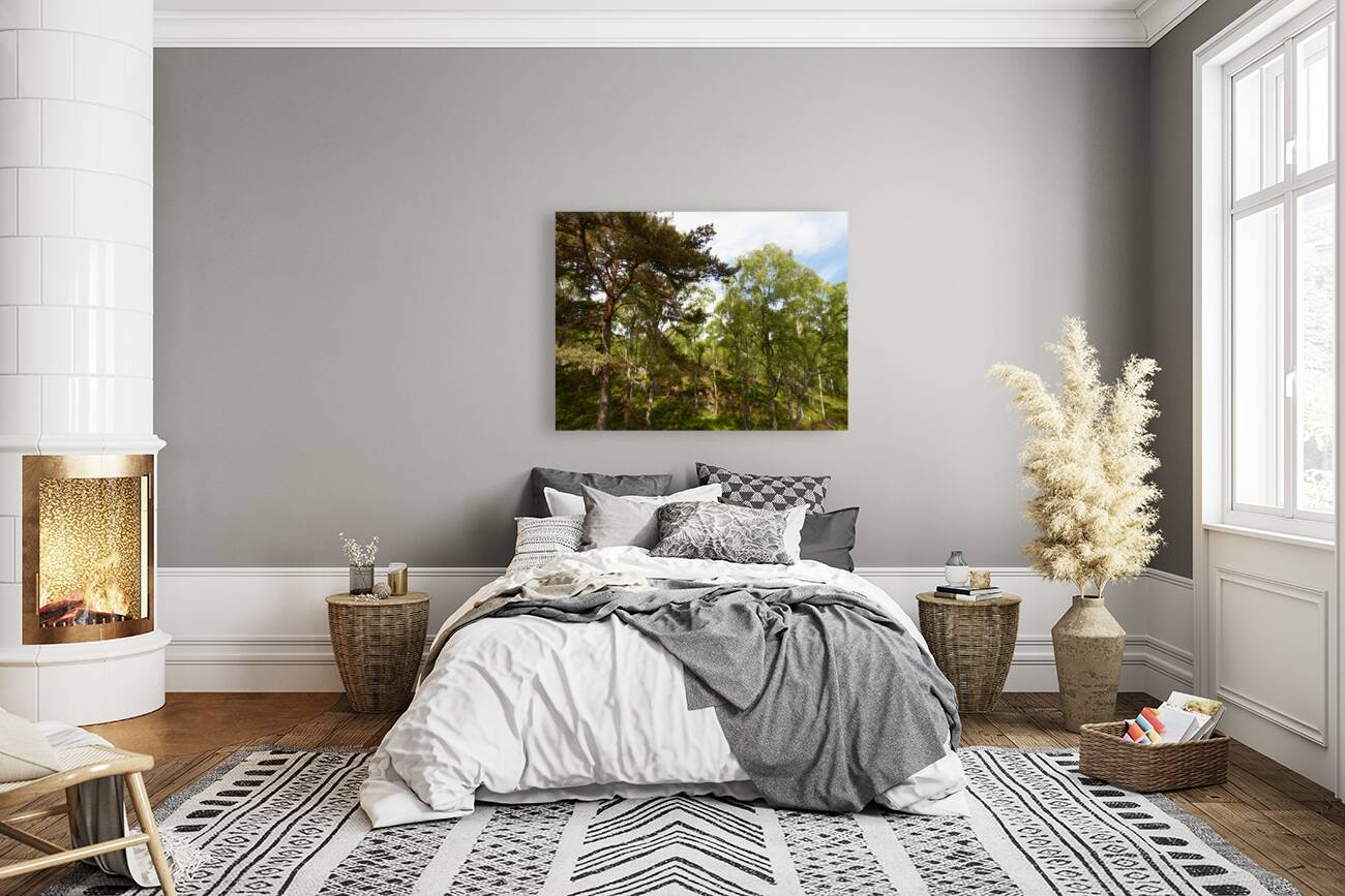 Impressionistic Scottish Highlands Forest   Reproduction