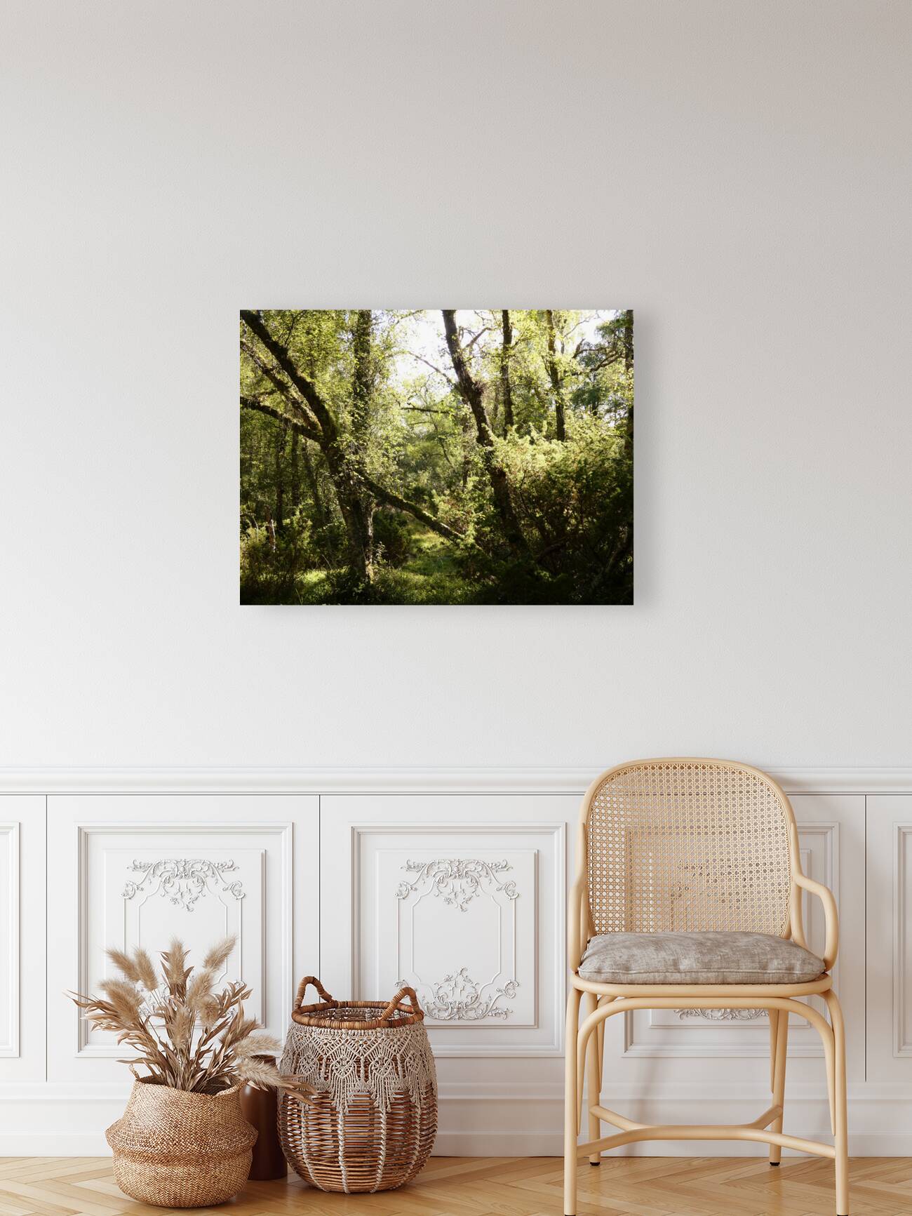 Scottish Highlands Forest Scene  Reproduction