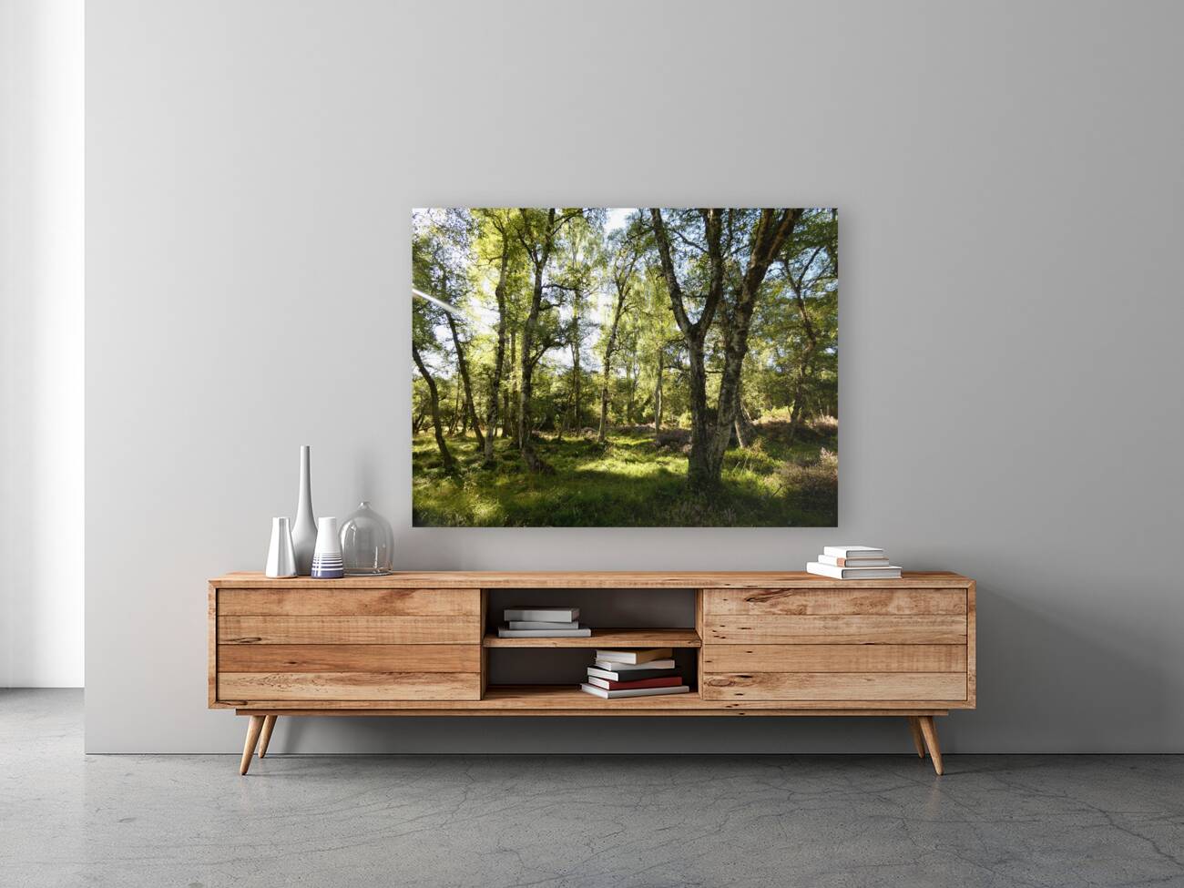 Scottish Highlands Birch Tree View Reproduction