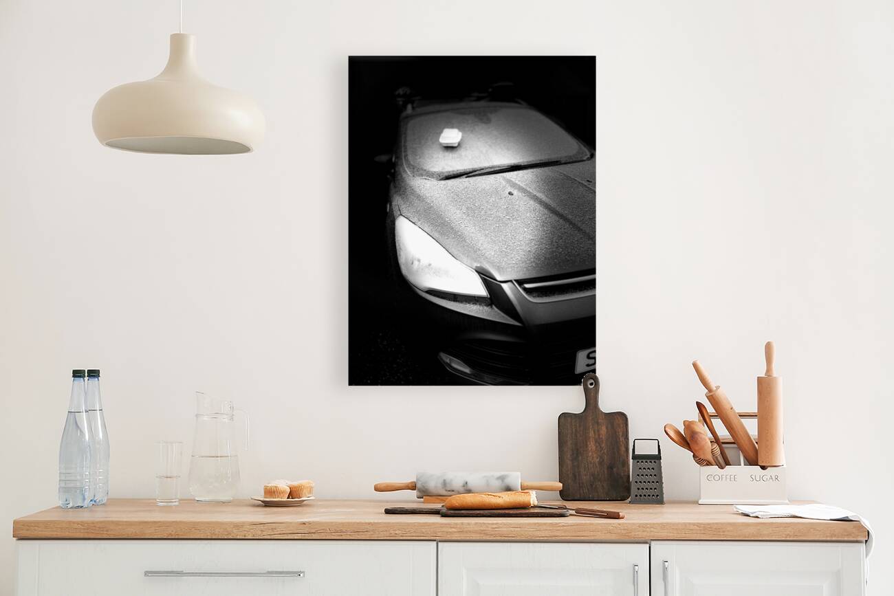 Everyday Lifes Moments  Random Placement   Reproduction