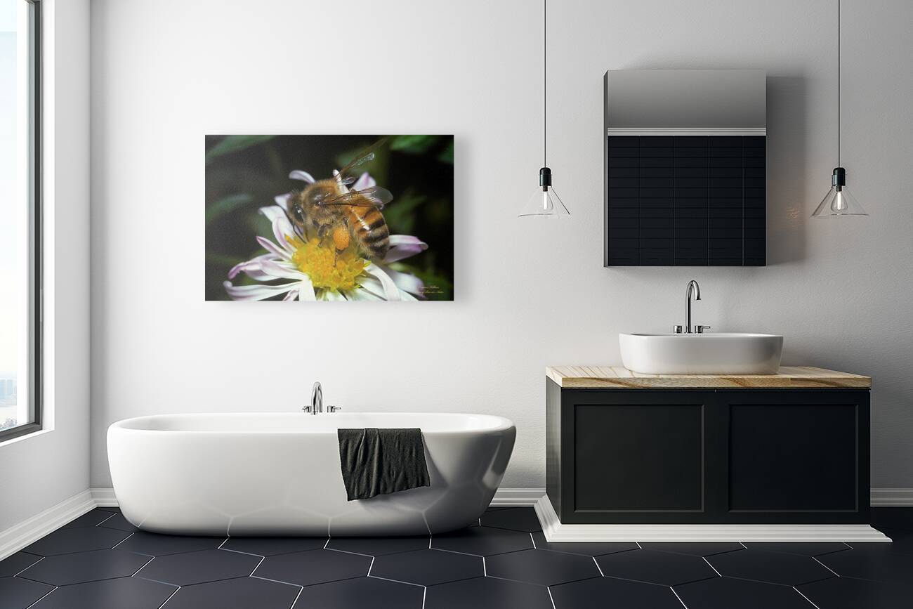 Honey Bee on Aster by Gene Killion 1980  Reproduction