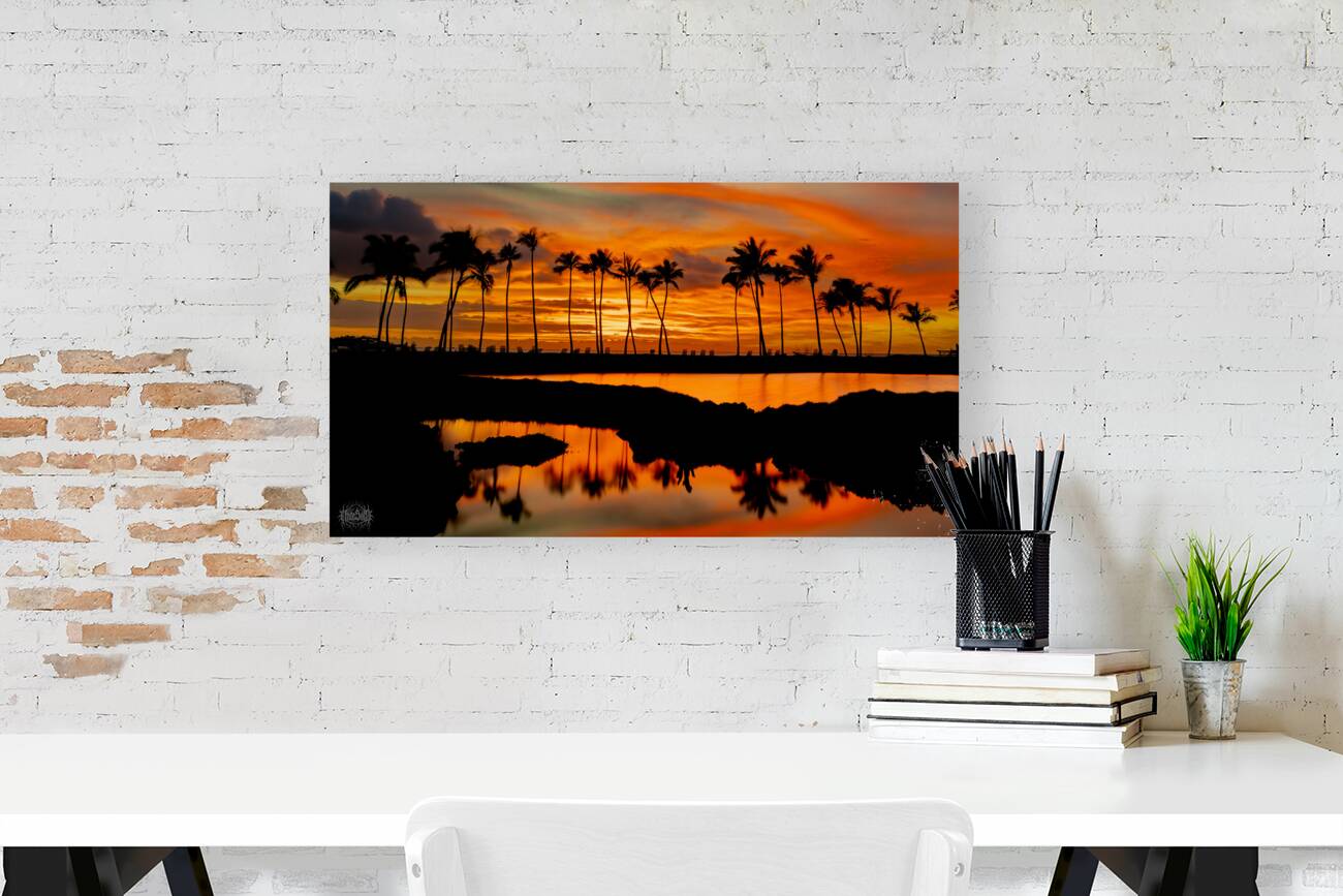 Why Koloa  Reproduction